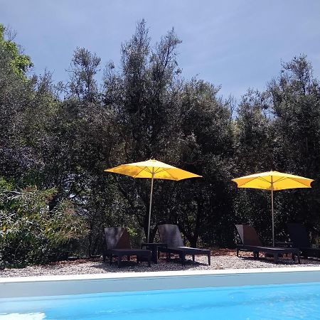 2 Pieces "Le Brin De Soleil" Gites Appart 'Hotel L'Echappee Belle D'Aubenas Logement 1 Sur 3 Exteriör bild
